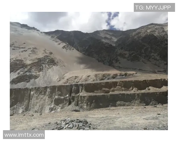 飞盘女将赵秀英的成长与挑战之路分享