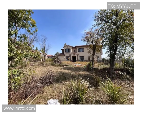 足球明星家庭花园设计灵感探索打造绿意盎然的梦想空间